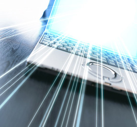 �V�[�Y���{�̒�ė�